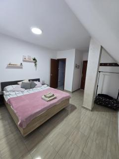 Apartman Blagojevic - Divčibare - 3