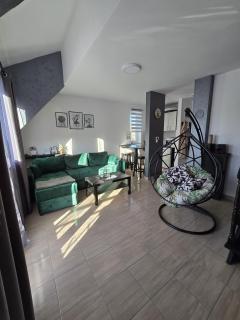 Apartman Blagojevic - Divčibare - 0