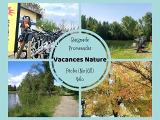 N004 - L'Ecrin de Verdure - climatisé - TV - proche Europa Park - Boofzheim - 4