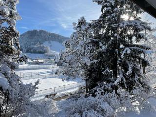 Ferienwohnung Gipfelblick - 1