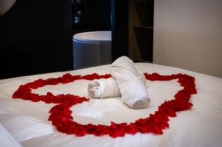 Luxury Suite Romantic Getaway with Jacuzzi - Castres - 8