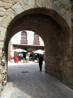 Stylish large house with heated pool in historic village - Bize-Minervois - 4