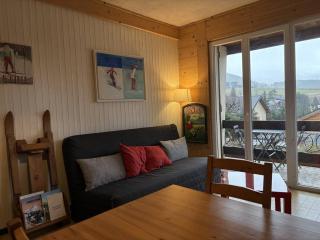Charmant appartement fonctionnel près du centre bourg, balcon et parking gratuit - FR-1-548-2 - Villard-de-Lans - 3