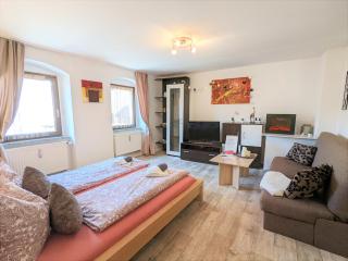 Famzi - Urlaubsmagie - Familienwohnung mit Gemeinschaftsgarten, -sauna & -pool - Sebnitz - 1
