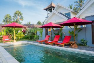 niniku ubud villas - Ubud - 1