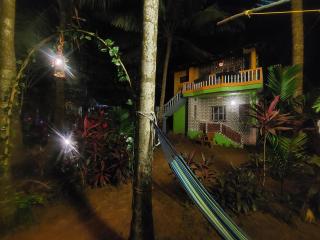 Areca Nest - Gokarna - 4