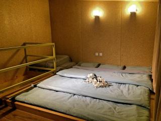 Great Wall Roomy Holiday Lodge with Hot Tub - - 3