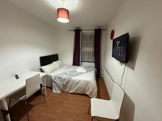 Beautiful 1 private bedroom in a shared 3-bedroom apartment minutes walk from Bethnal Green - Londra - 1