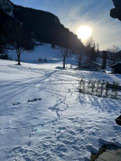 Flora Alpina apartments - Residenza Bieltschocke - Gressoney-Saint-Jean - 9
