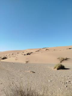 Maison etoile du desert - Tighmert - 8