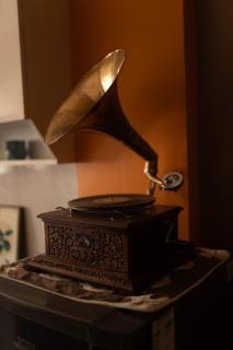 Mochastay - Dehradun - 5