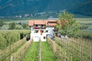 Bauernhof Sackgut - Ciardes - 9