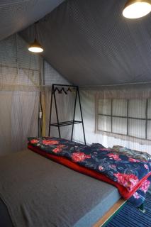 Stargazers Glamping - 9