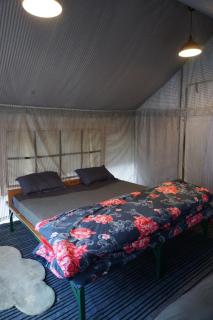 Stargazers Glamping - 8