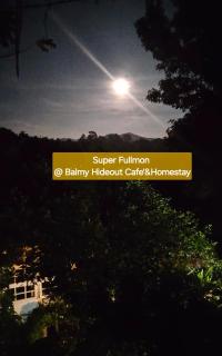 Balmy Hideout Cafe'& Homestay - 1