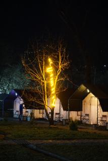 Stargazers Glamping - 5