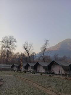 Stargazers Glamping - 6