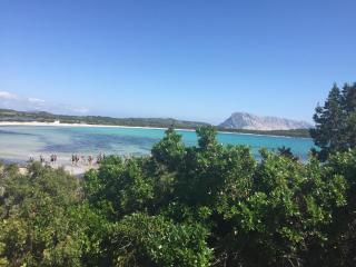 arena's casa vacanze - La Caletta - 6
