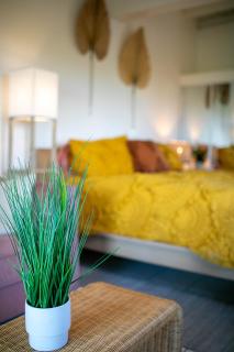 The Flamingo House - Contant - 9
