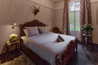 Wellness Landgoed De Valkenberg - Rheden - 8