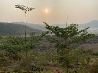 Farmer's Deck Farmstay - Hill Top Villa - - 4