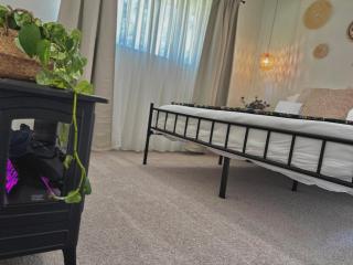 King Bed Suite in Conroe , Garage Available - 3