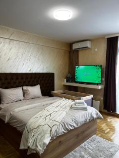 GOLDEN SS Studio - Vrnjačka Banja - 2
