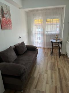 Apartman Ćirić - 8