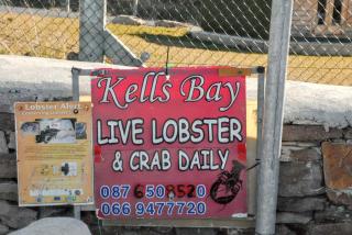 Spacious house with sea and mountain views, Co. Kerry - 1