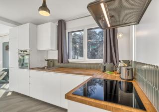 Le Nordique II - Jolie vue - Clim - Netflix - Aix-les-Bains - 5