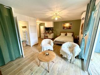 Le Greenhouse Studio Libourne - Libourne - 0