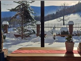 Gorski Widok Karpacz Apartamenty i Pokoje- Salon Kominkowy - Karpacz - 5