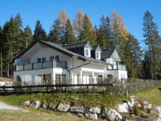 Haus Terra - Ramsau am Dachstein - 6