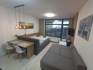 Apartmán LUMI Zadov - Stachy - 6