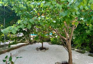 B&B Don Alessandro - Surbo - 1