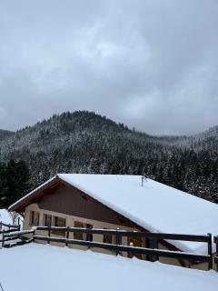 Les gites la Bresse 18 personnes - 9