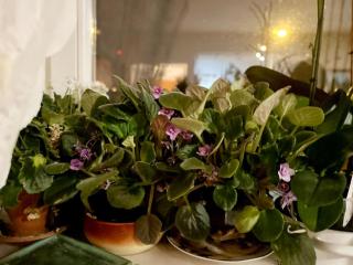 Mara apartment, Belgrade, New belgrade - Belgrado - 6
