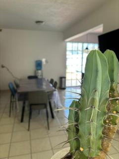 Departamento Diego Rivera - 7