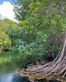 Lumina - Tulum - 1