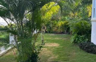 Mosaic luxury Villa - Hopewell - 8
