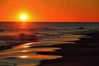 Lani Kai Village 210 by ALBVR - Beautiful Indirect Gulf Views from your Balcony! And great rates!!! - Gulf Shores - 4
