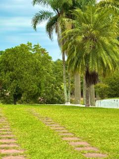 Haras São Vicente - Serra Negra - 1