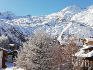 Apartment Floralpina by Interhome - Saas-Fee - 9