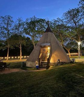 Waterfront Teepee 0 - Bird Sings - Seguin - 9