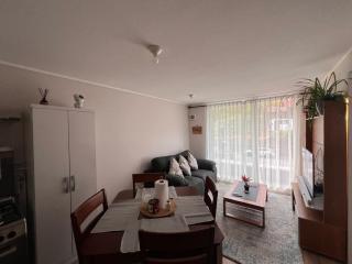 Céntrico y cómodo departamento - 4