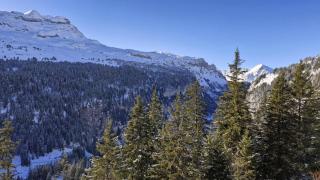 Résidence Les Pleiades - Appartement rénové · Centre station · Balcon · Parking couvert MAE-8234 - 0