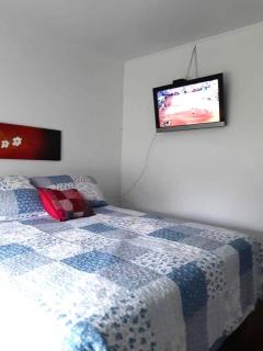 Habitaciones en casa de campo - Frutillar - 5