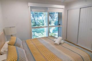 Driftwood on Home Beach - Absolute Beachfront - 1