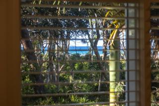 Driftwood on Home Beach - Absolute Beachfront - Point Lookout - 6