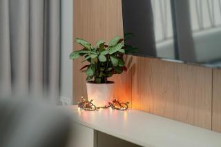 Apartament Modena - Poznań - 6